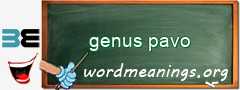 WordMeaning blackboard for genus pavo